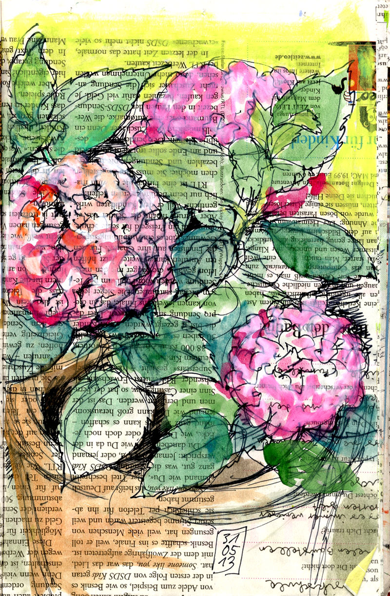 Hortensien/Hydrangea gzeichnet auf Zeitungspapier