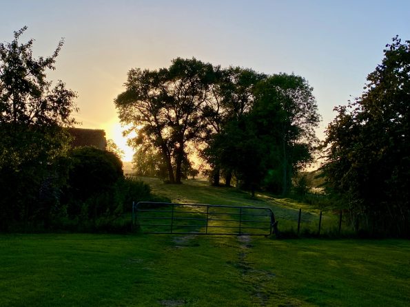 Ländliche Abendstimmung, Blick auf vier Pappeln, die einen Feldweg säumen, dahinter die untergehende Sonne